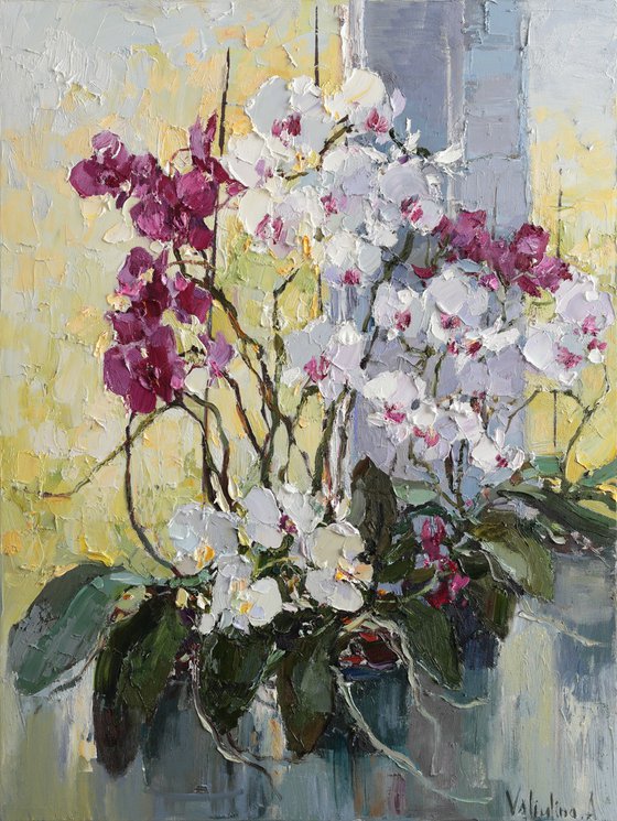 Orchids Still Life