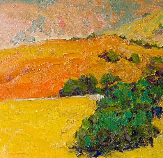 Summer. Mountains in Calfiornia