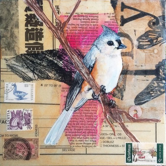 Tufted titmouse - Ornithology #8 - Framed ready to hang original painting