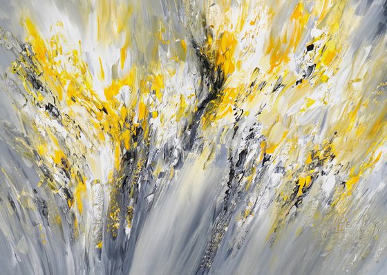 Elegance Anthracite M  1