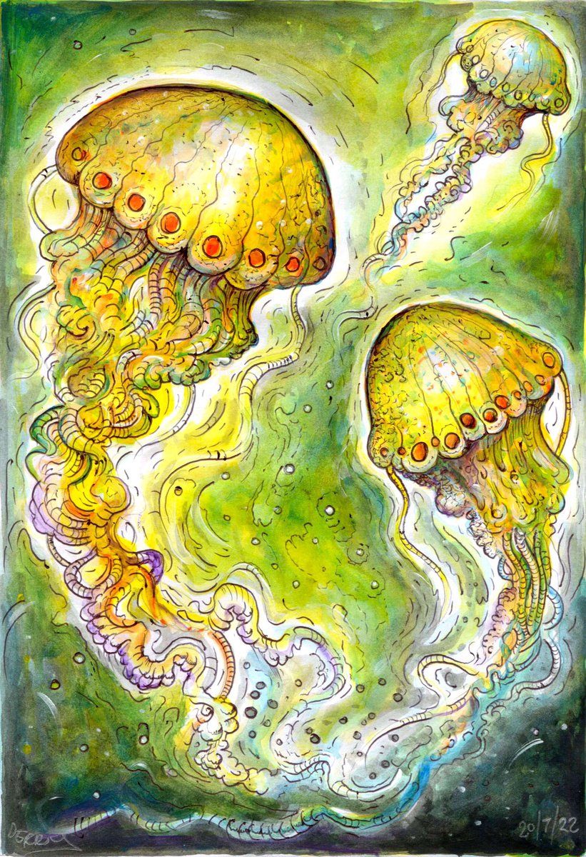Illustrative Animal Drawing By Spencer John Derry, 8 X 12", Jellyfish, Original Artwork