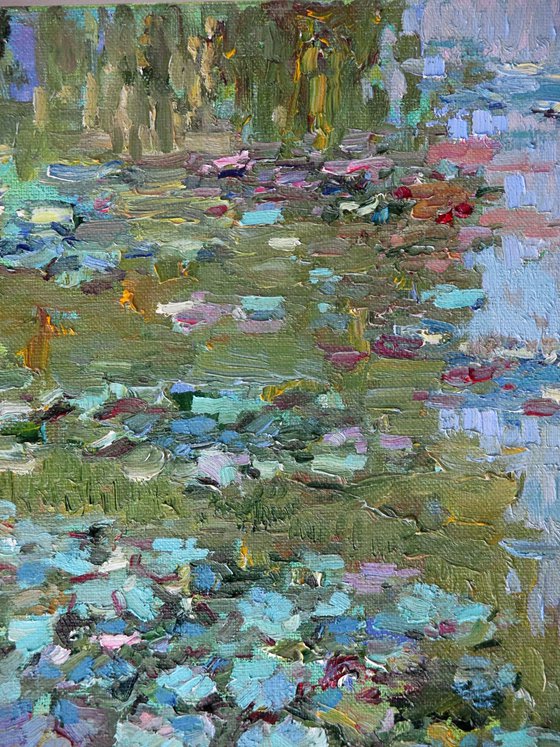 Water lilies in the deep pond