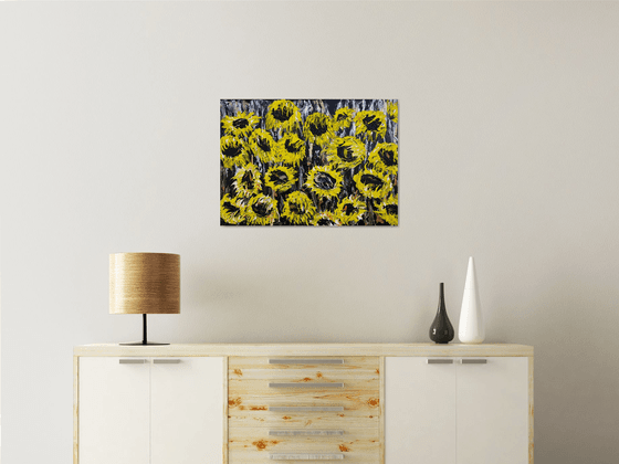 Sunflower field