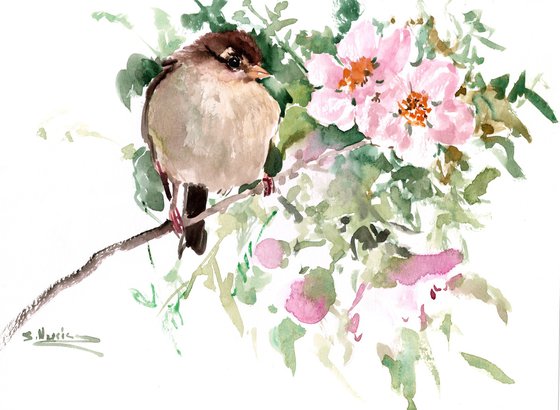 Sparrow Bird  and Blooming Tree