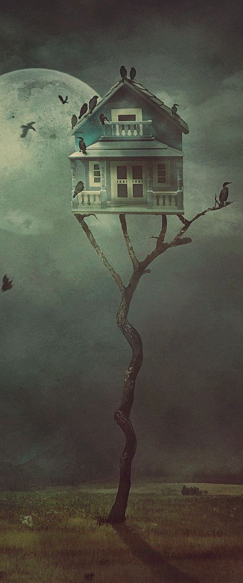 Bird House - Night Gathering - limited edition of 5 by Nikolina Petolas
