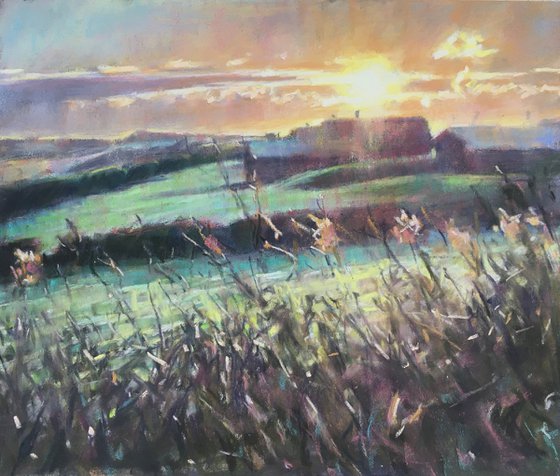 Frosty Cornish fields