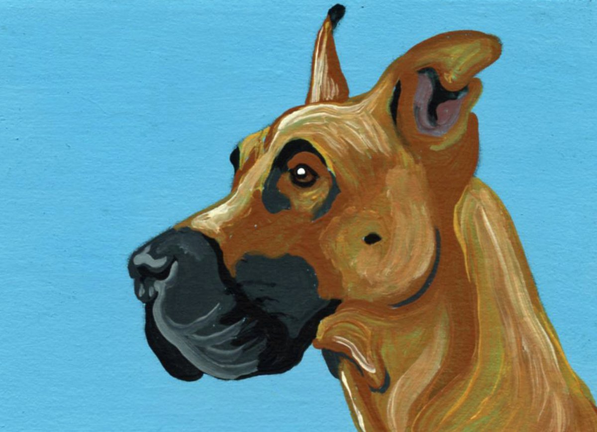 ACEO ATC Original Miniature Painting Great Dane Pet Dog Art-Carla Smale by carla smale