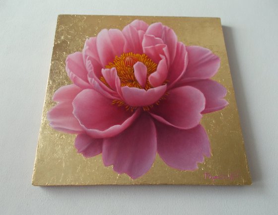 "Magic of Bloom"