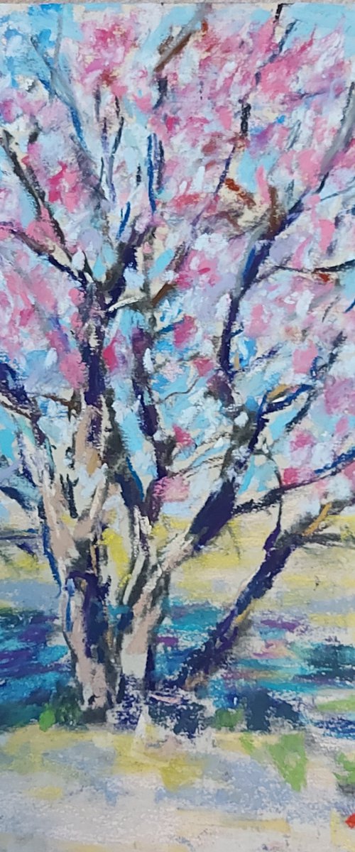 Tree in blossom by Silvia Flores Vitiello