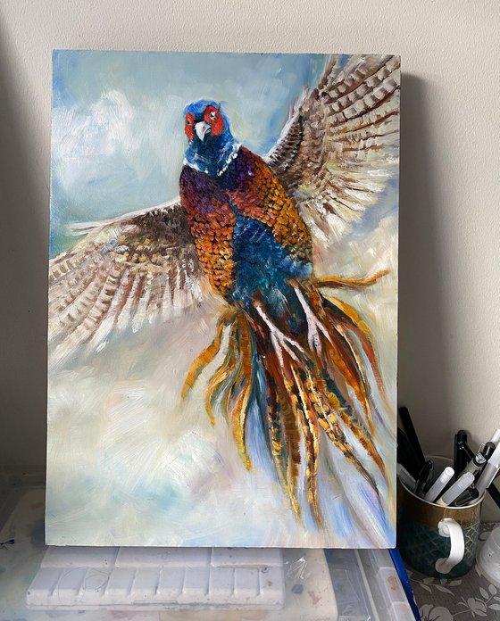 Pheasant in Flight