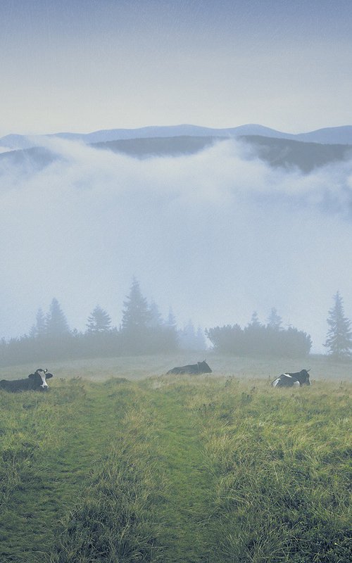 Serenity in the morning fog. by Valerix