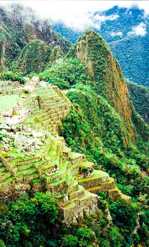 Peru Machu Picchu by Georgia Fitzgerald