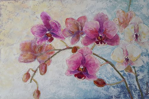 Pink orchids by Mary Voloshyna