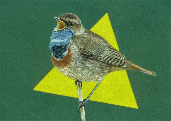 Original pastel drawing bird "Bluethroat"