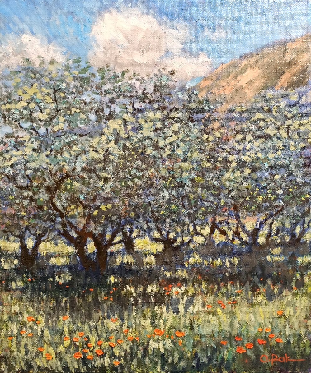 Impressionistic Landscape Oil Painting By Oleh Rak, 20 X 24", Olive Groves Of Provence, Original Artwork