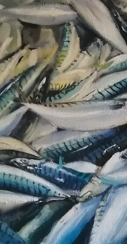 Mackerel catch by Rosemary Burn