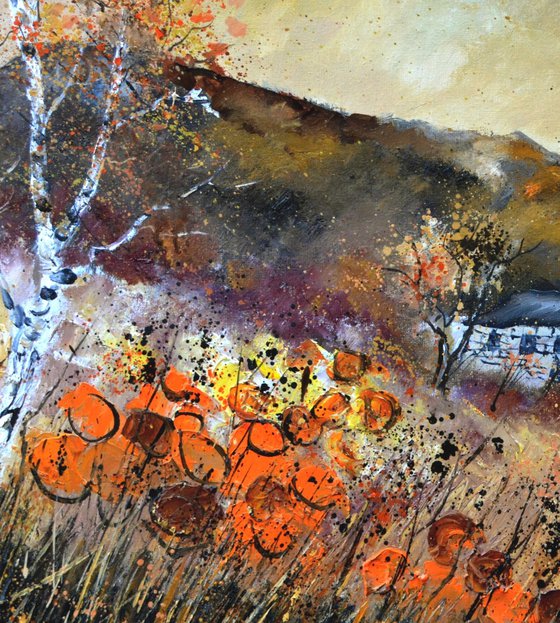 Orange flowers in autumn- 8823