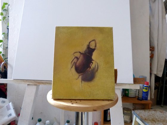 Scarabe, oil on canvas, 27x22 cm