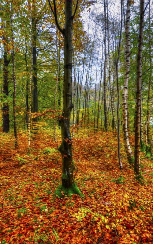 Autumn in Lakeland by Alistair Wells