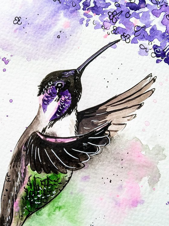 Hummingbird