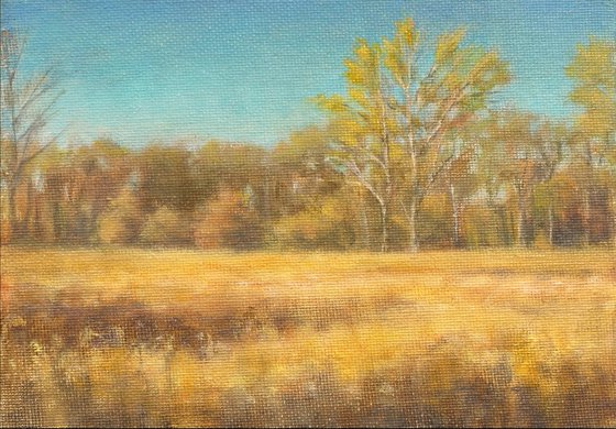 Autumn Prairie and Trees
