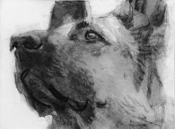 Charcoal drawing on paper