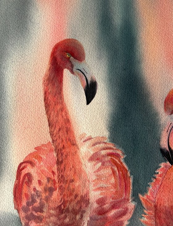 Flamingo