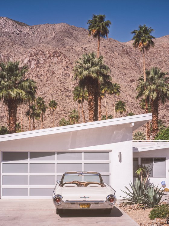 Desert Bird