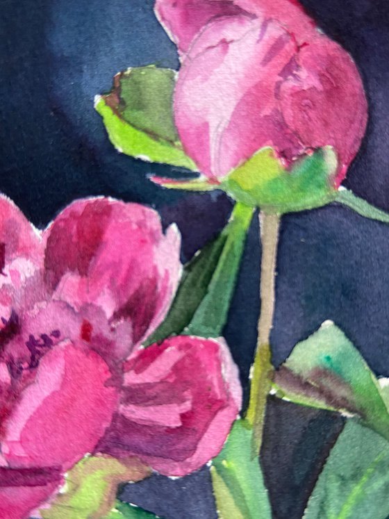 Peonies