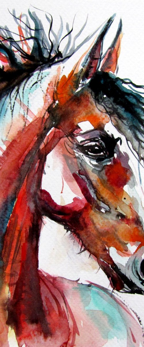 Horse portrait IV by Kovács Anna Brigitta