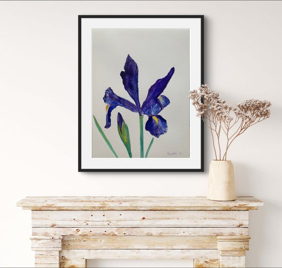 Iris