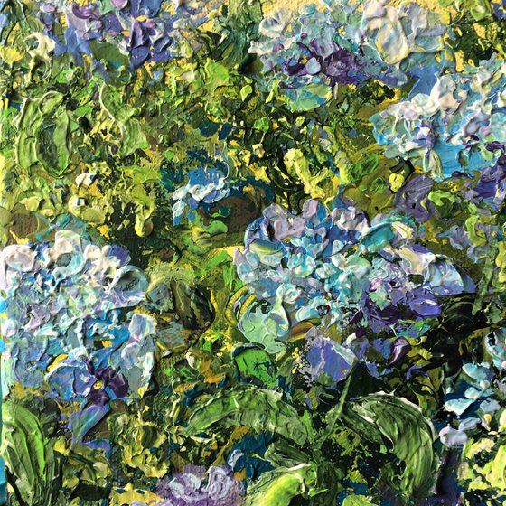 Blue Hydrangeas 2