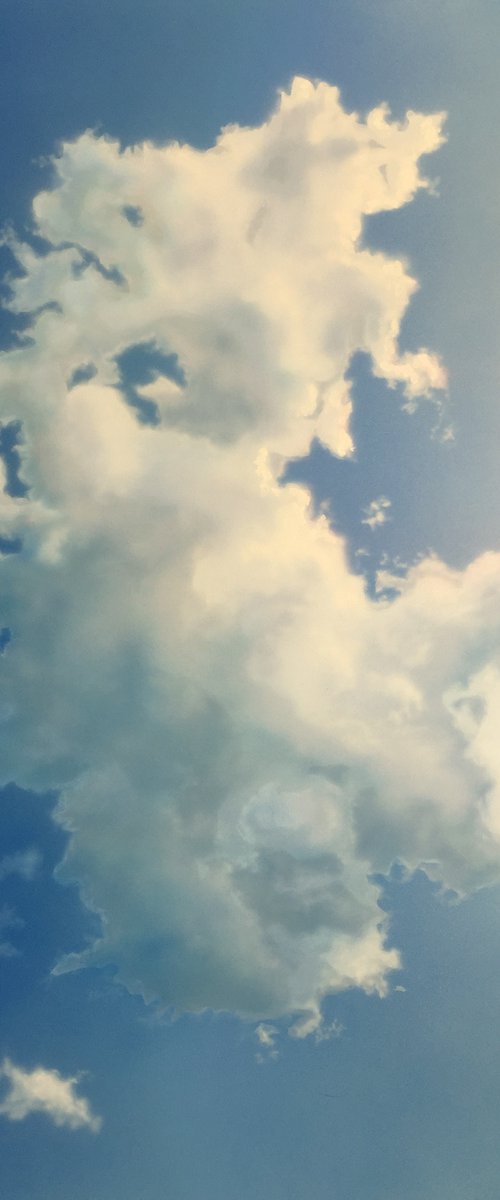 Portrait of a Cloud by David Tracey