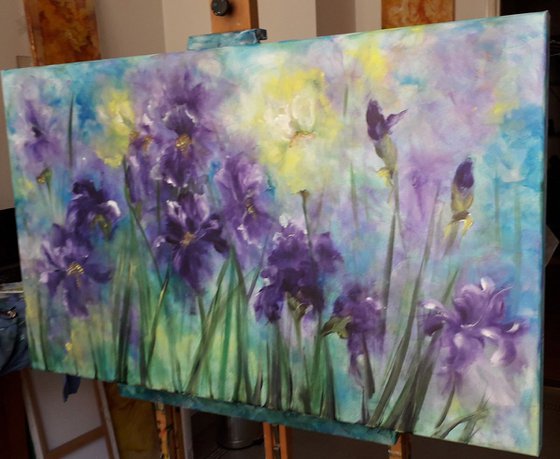 Purple Irissis