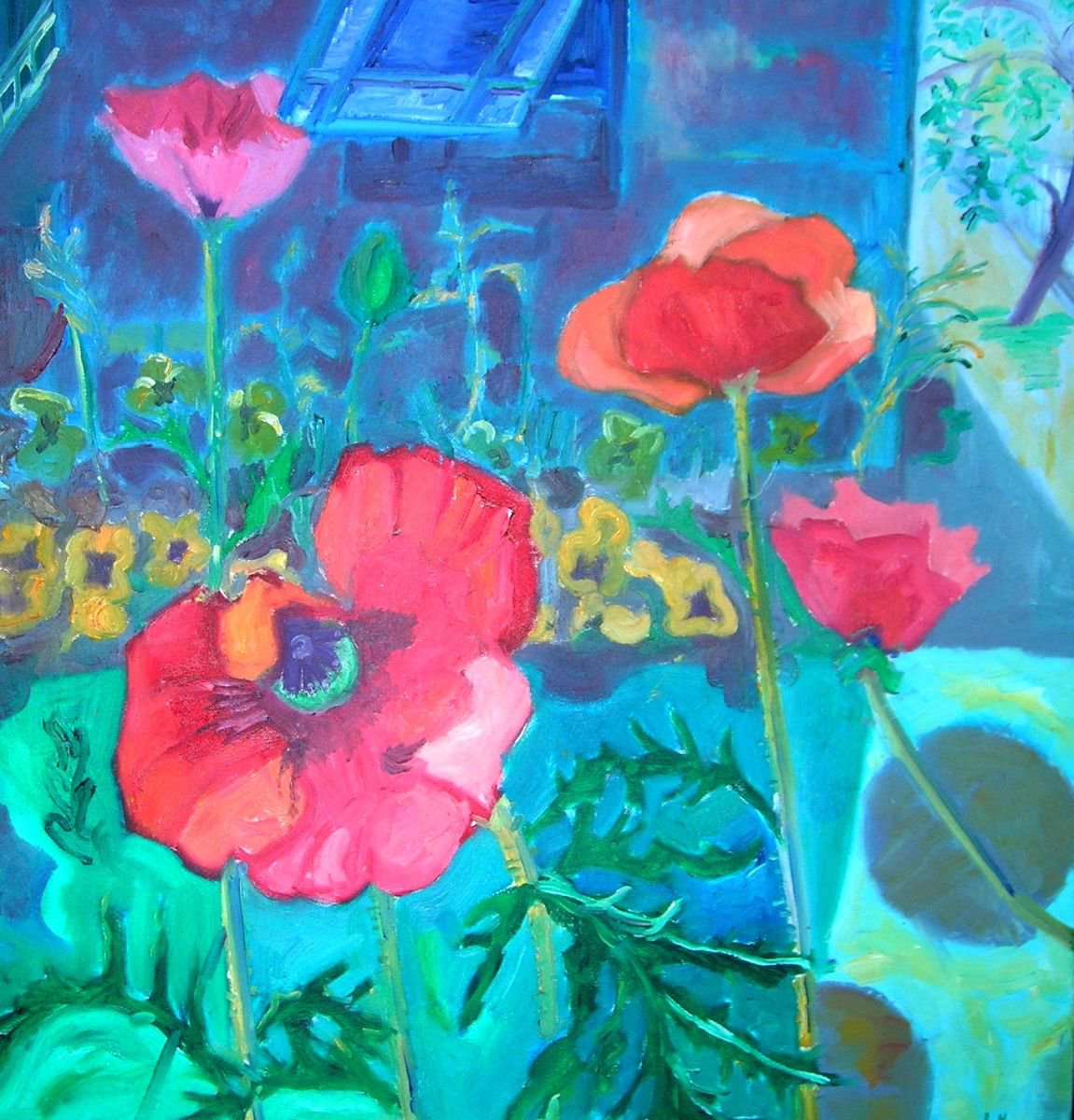 poppies by the studio by Lynda Hopkins