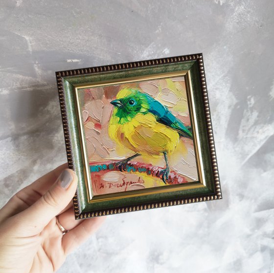 Blue chlorophonia bird painting original 4x4, Framed oil painting yellow bird on branch, Small painting of birds gift for bird lovers