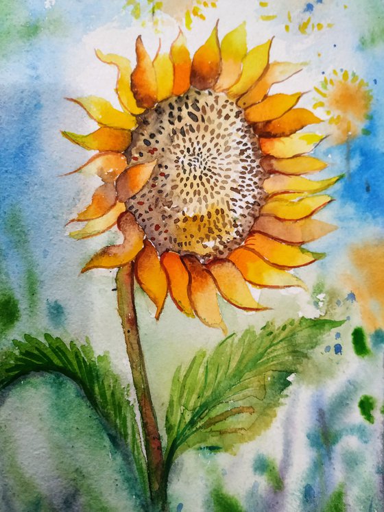 Life of Sunflower
