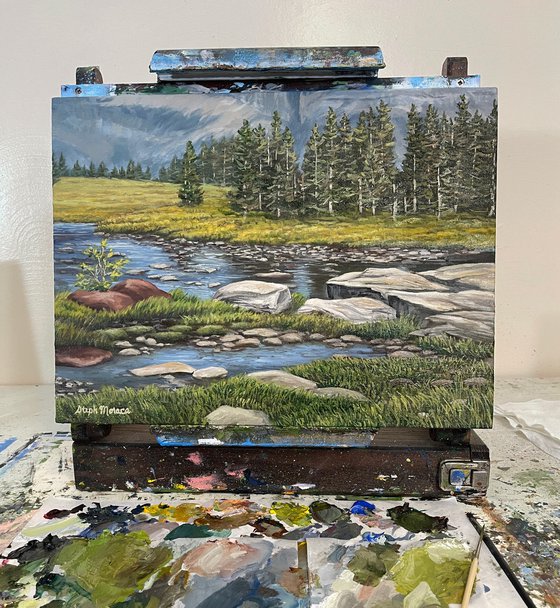 Alpine Pond and Meadow