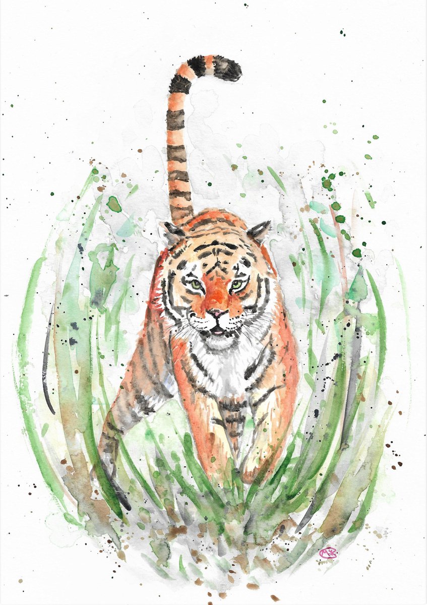 Expressive Watercolour , Tiger By Marjansart, 8 X 12, Artwork For Sale On Artfinder