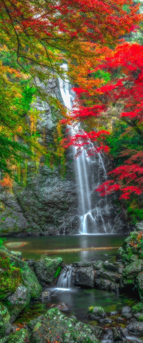 Autumn in Minoo Osaka, Japan by David Pruitt