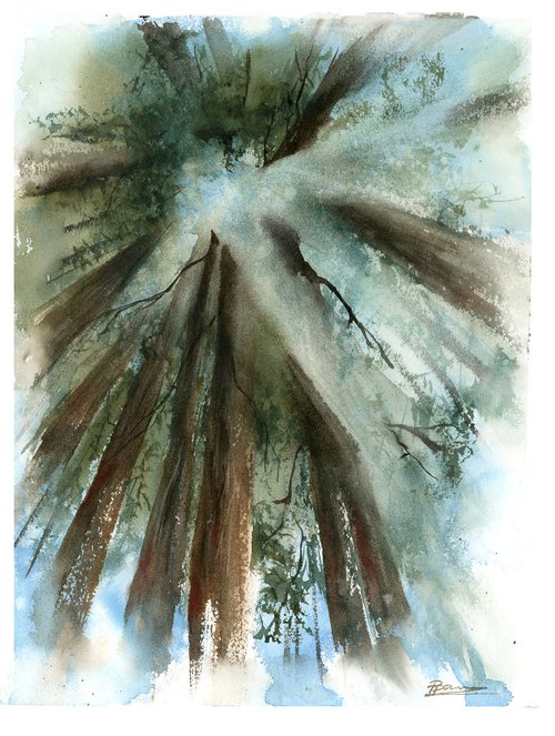Sky in the forest by Olga Shefranov (Tchefranov)