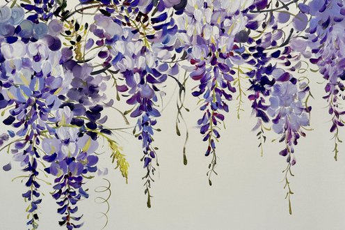 Cover image for Chelsea Flower Show collection