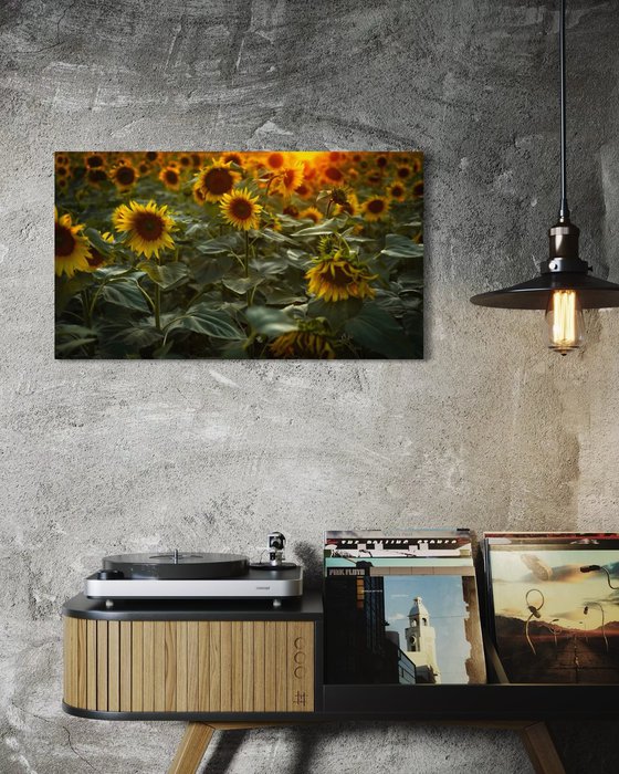 Golden Silence II – Field of Warmth