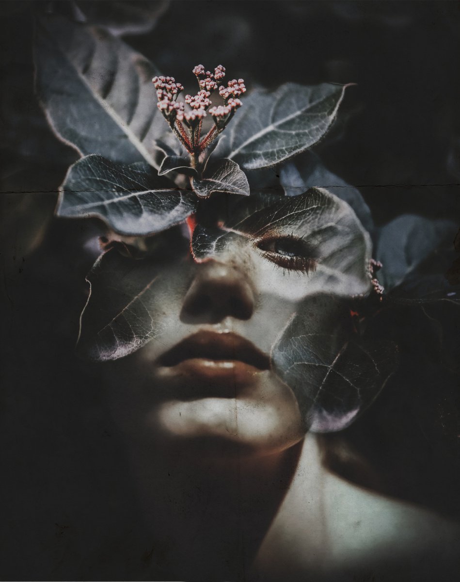 Botanical collection Vol 36. Flora. Art portrait on canvas by Elmira Namazova