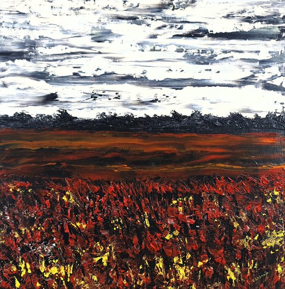Meadow after rain