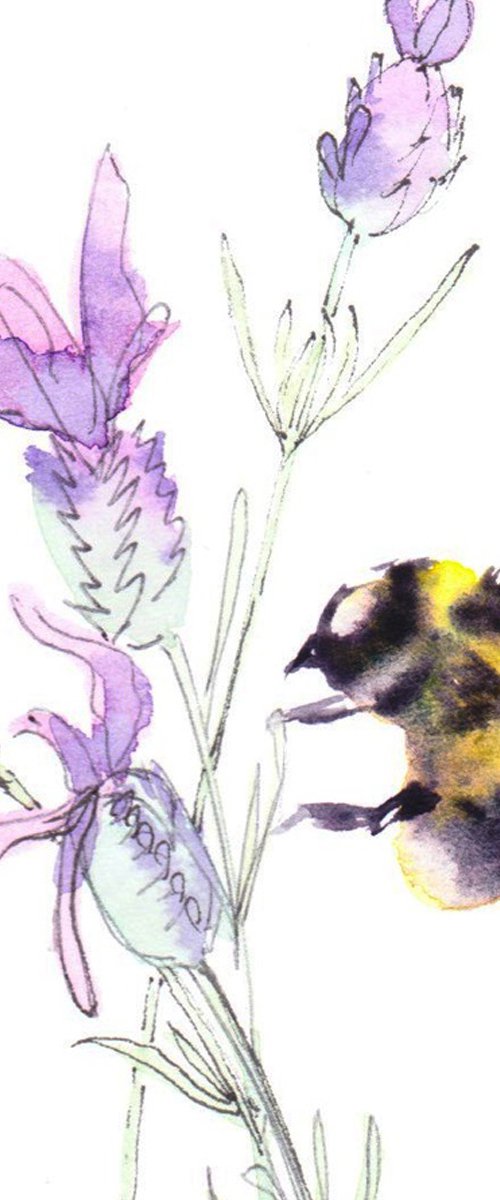 Bumble bee by Anjana Cawdell