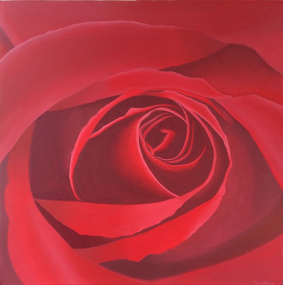 Red Rose II