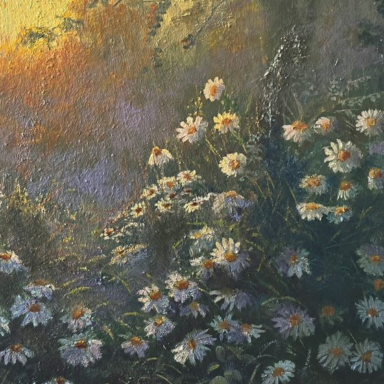 Daisy Reverie