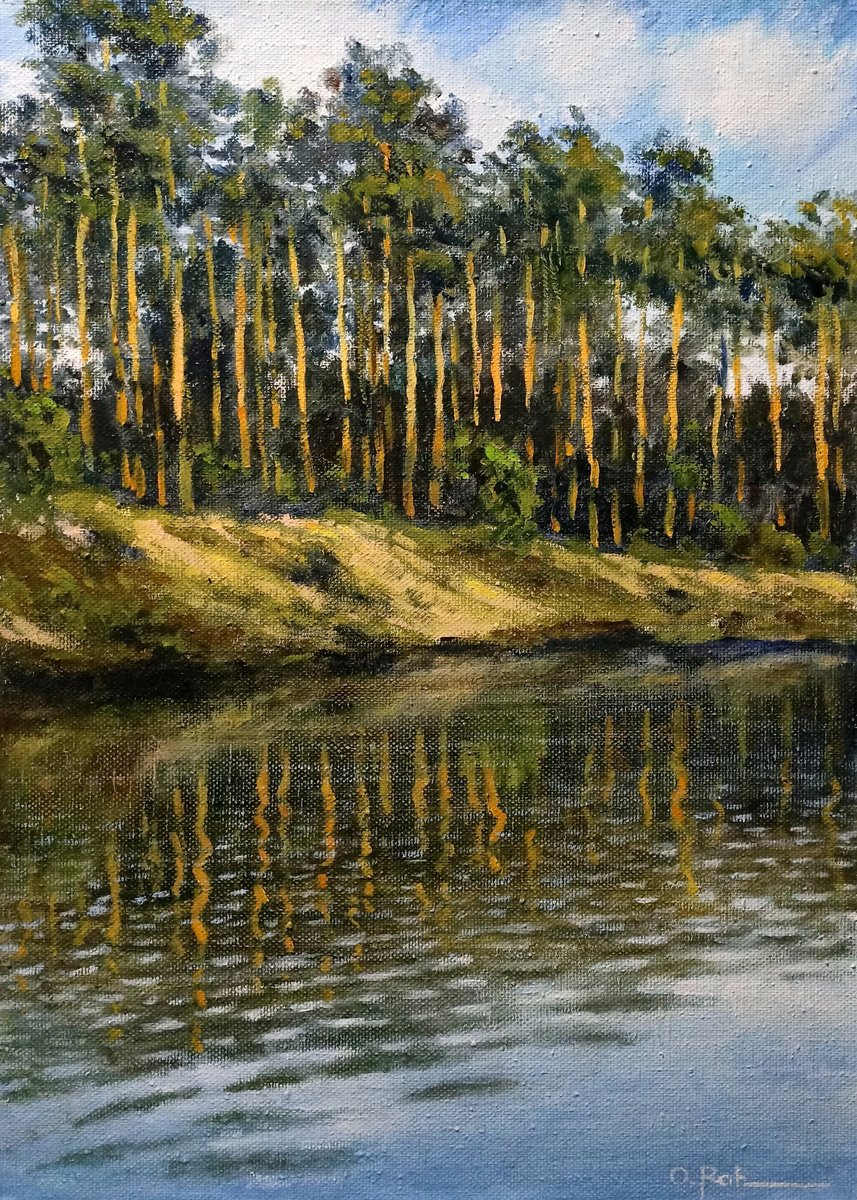 Pine Trees By The River 2 By Oleh Rak, 20 X 28, Artwork For Sale On Artfinder