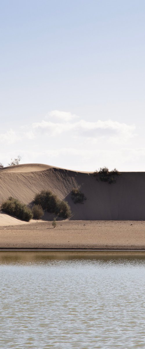 Oasis – Gran Canaria by Chiara Vignudelli